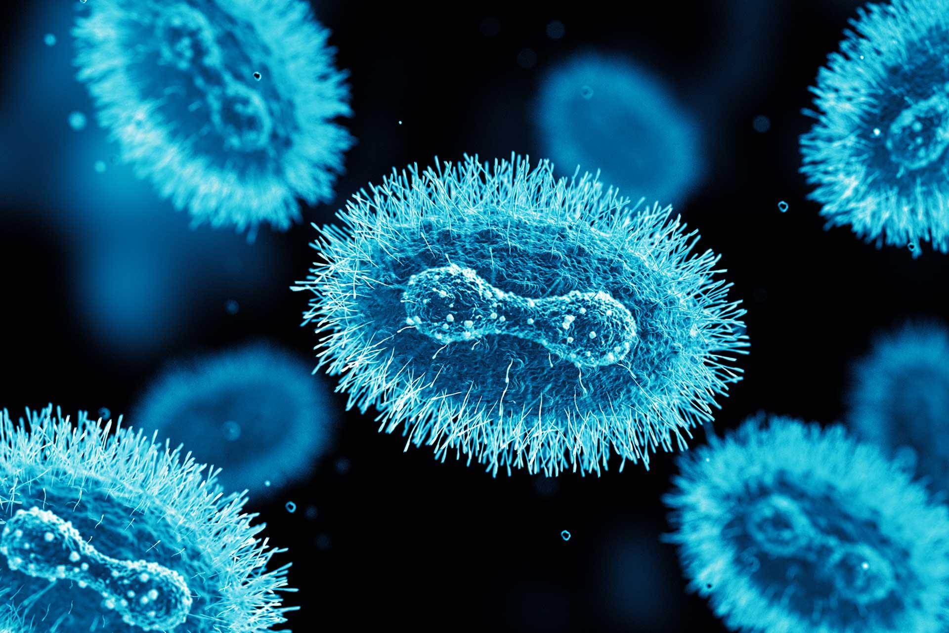 Mpox cells under the microscope Eight mpox cells under the microscope and coloured bright blue